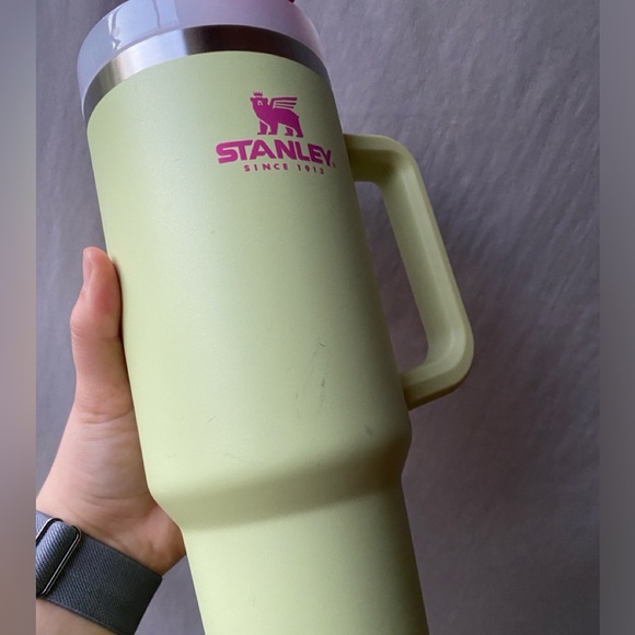 Neon Green and Fuchsia Pink Stanley Cup with Cactus Boot - Picture 6 of 14